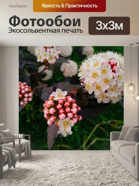 Фотообои Цветы