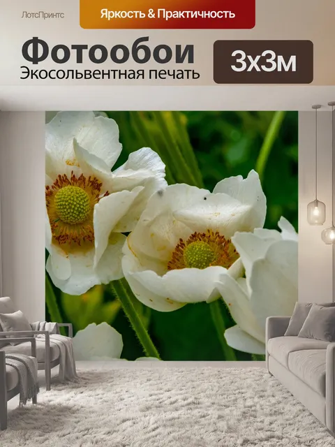 Фотообои Цветы