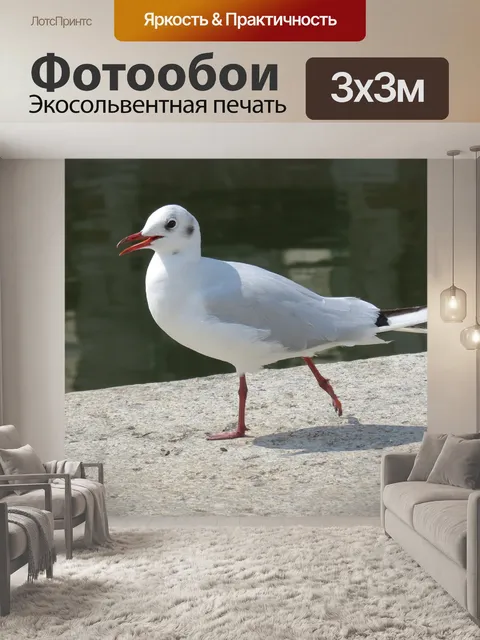 Фотообои Птица