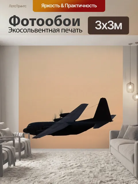 Фотообои грузовой самолет, летящий на закате