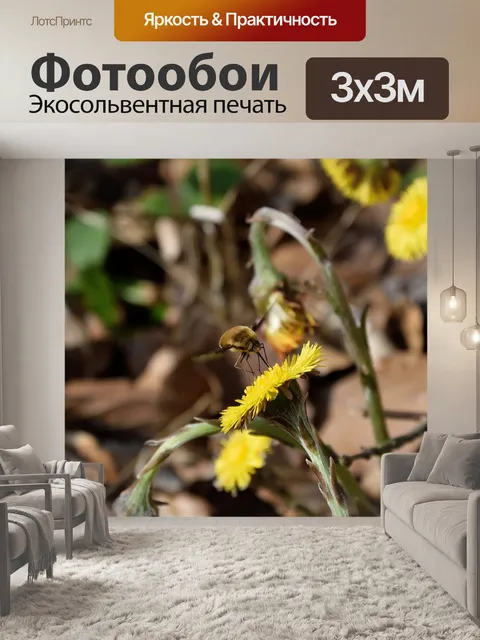 Фотообои Лес одуванчик