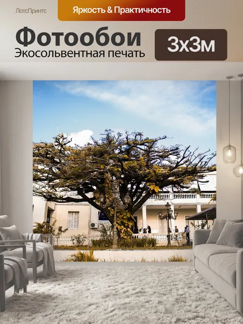 Фотообои Архитектура