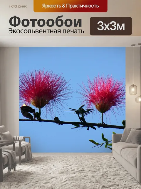 Фотообои Цветок