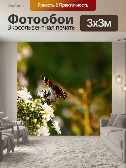 Фотообои Бабочка