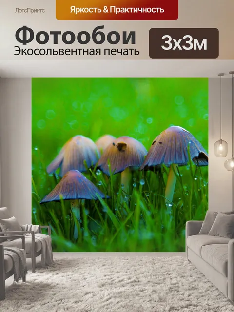 Фотообои грибы