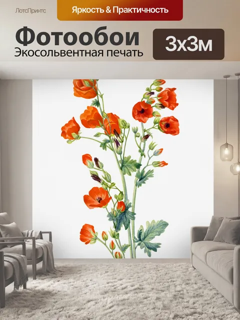 Фотообои Цветы старинные иллюстрации старый