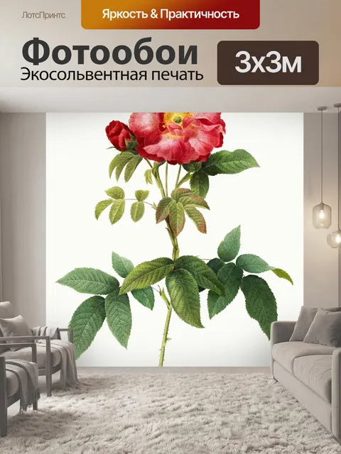 Фотообои Нарисованный цветок розы