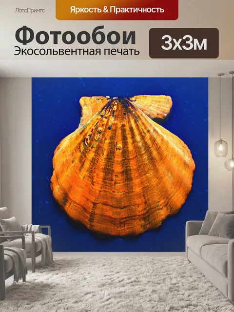 Фотообои Оболочка
