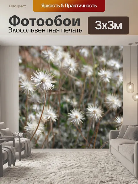 Фотообои Одуванчик