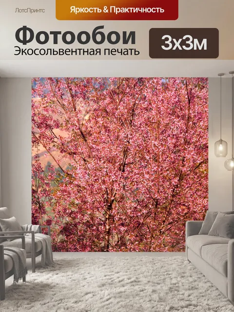 Фотообои Prunus cerasoides, дикая гималайская виш