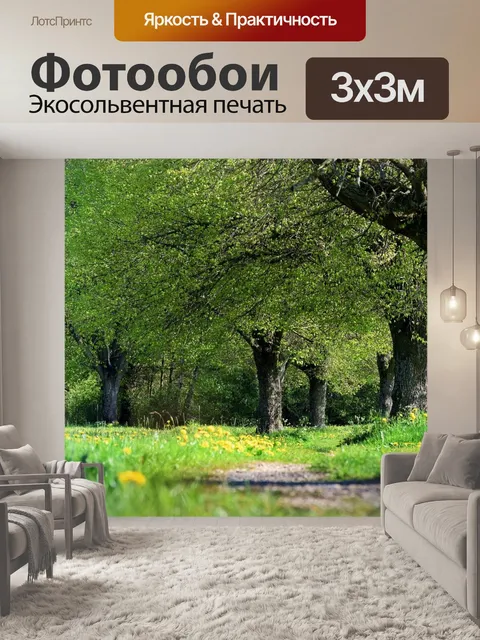 Фотообои Дорожка