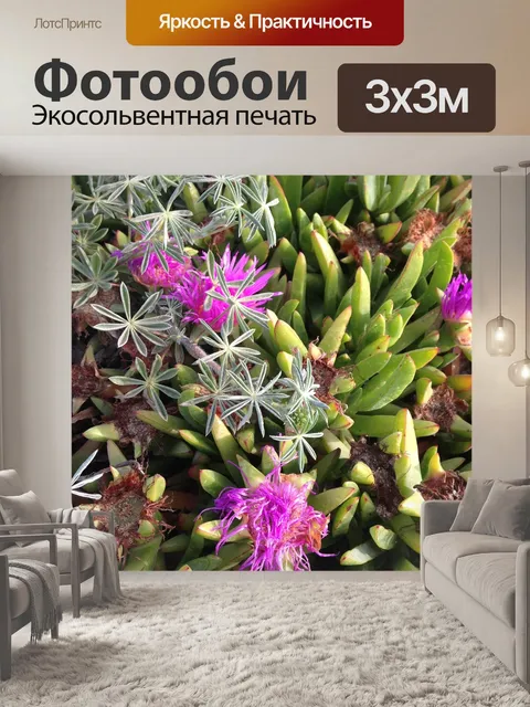 Фотообои Пляжные растения
