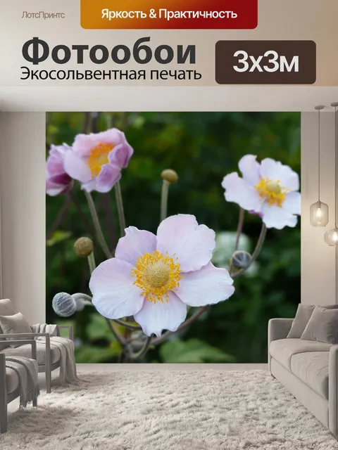 Фотообои Анемон