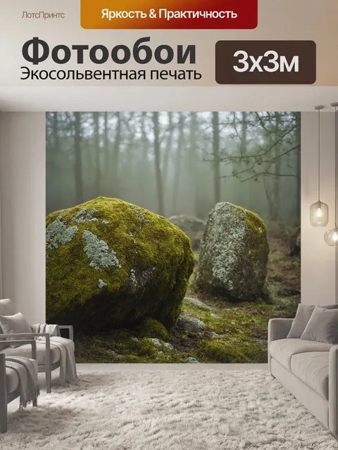 Фотообои камень: на фоне зеленого леса расположены крупные, шершавые валуны, покрытые мхом и лишайником