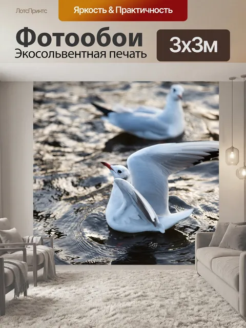 Фотообои Чайки в море