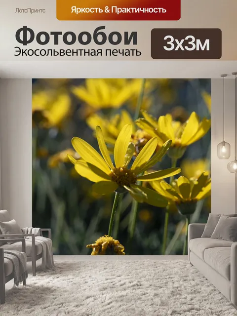 Фотообои Полевые Желтые ромашки