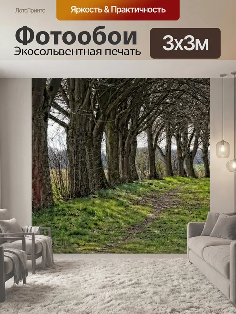 Фотообои Деревья аллея путь пейзаж