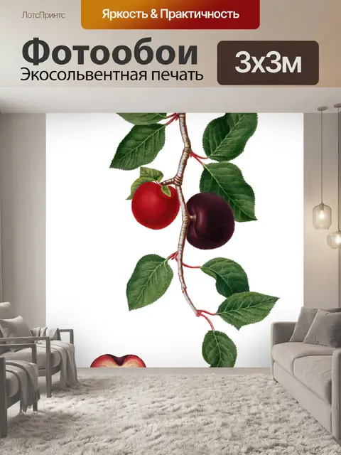 Фотообои Абрикос Фрукты Винтаж Искусство