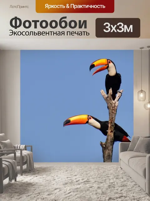 Фотообои Тукан