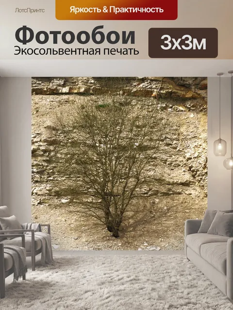 Фотообои Карьер