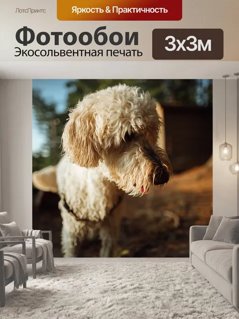 Фотообои Собака