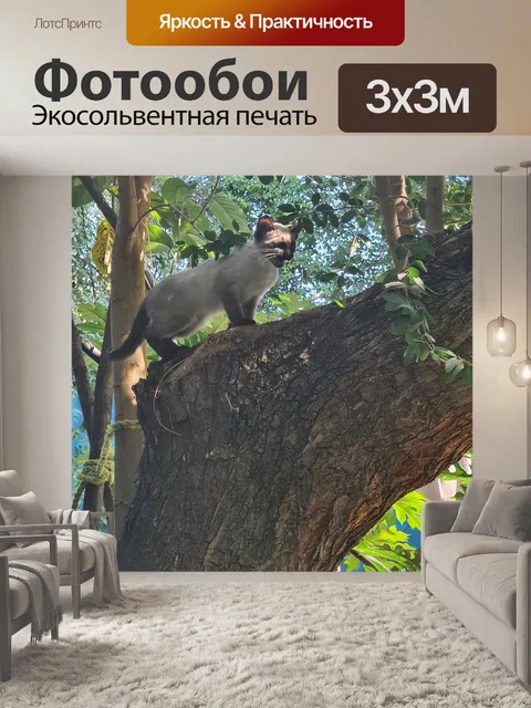 Фотообои Природа