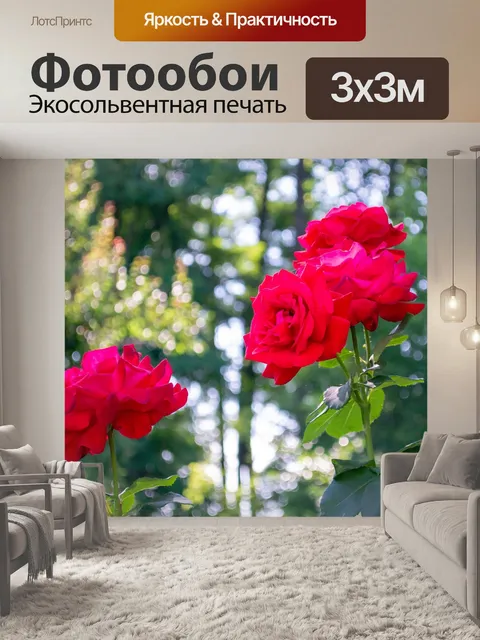 Фотообои Цветы