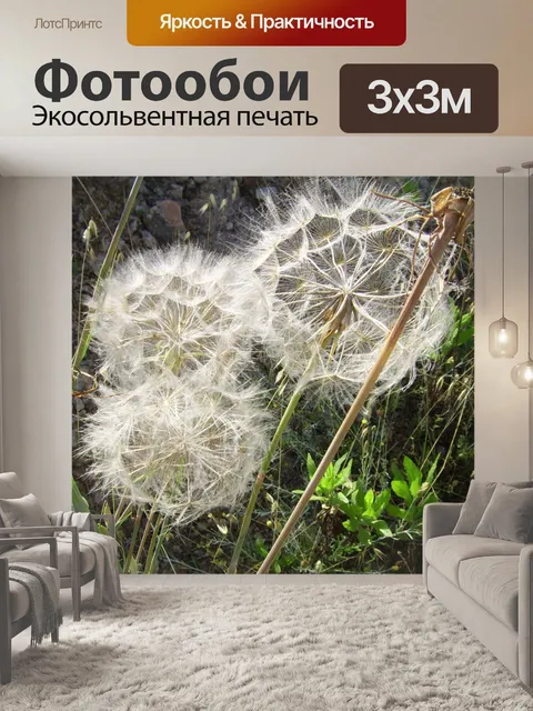 Фотообои Одуванчики