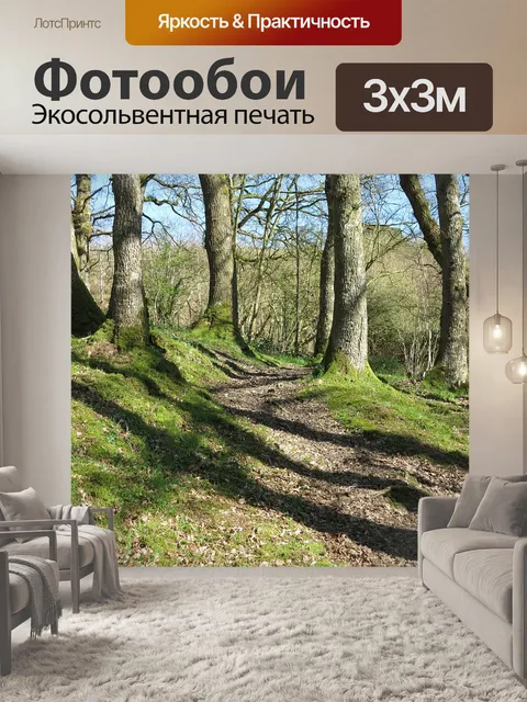 Фотообои Лесной массив