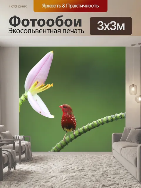 Фотообои Глаза стекленеют