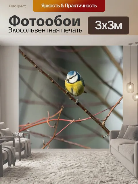 Фотообои Сад