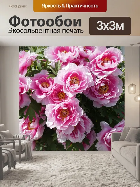 Фотообои Пионы