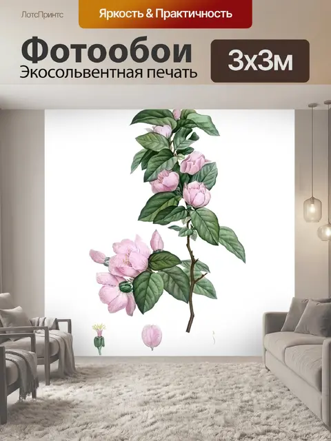 Фотообои Винтажный клипарт Cherry Blossom Flower