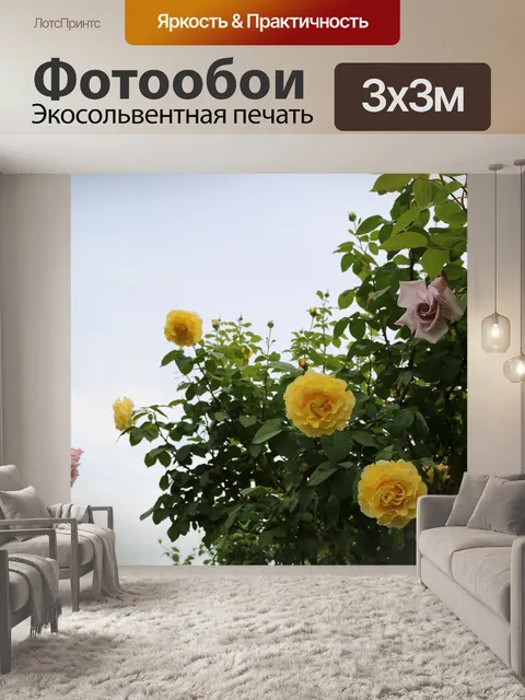 Фотообои Роуз