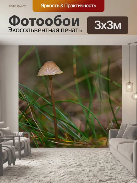Фотообои Лес