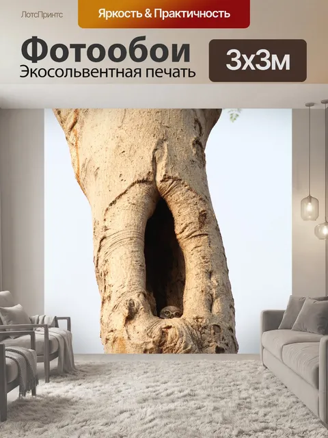 Фотообои Рабочий стол