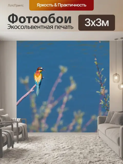 Фотообои Золотистая щурка