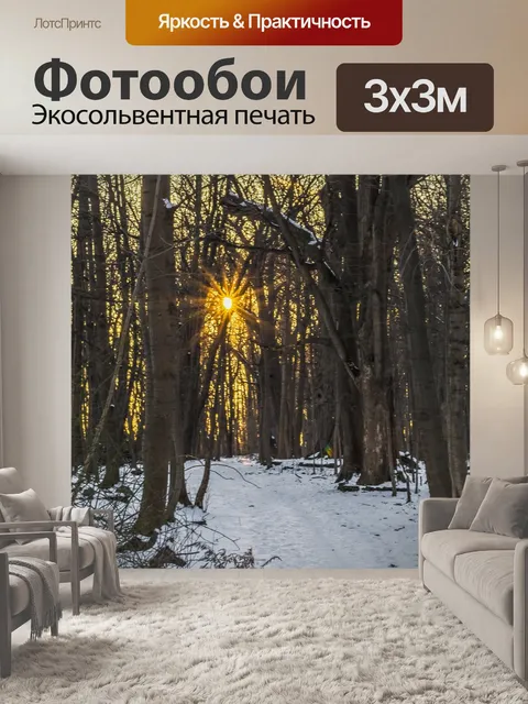 Фотообои Лес