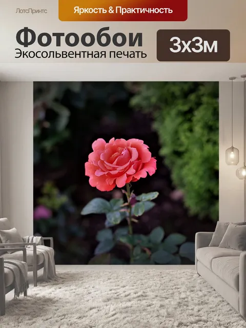 Фотообои Розы