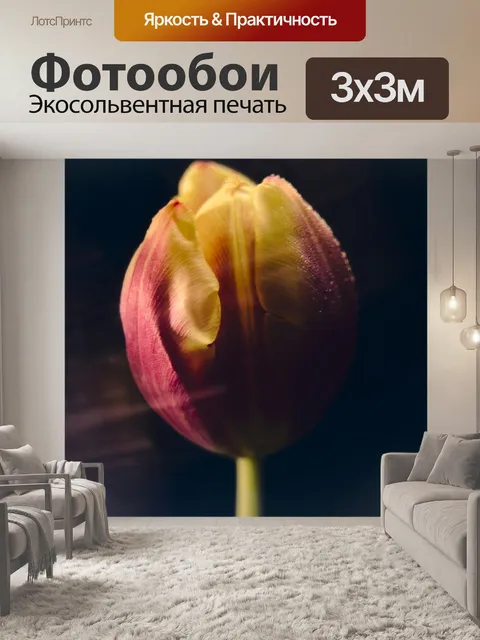 Фотообои Тюльпаны