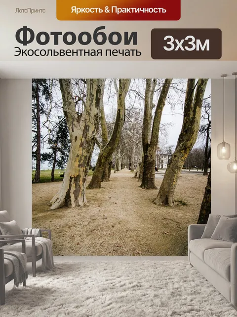 Фотообои Деревья