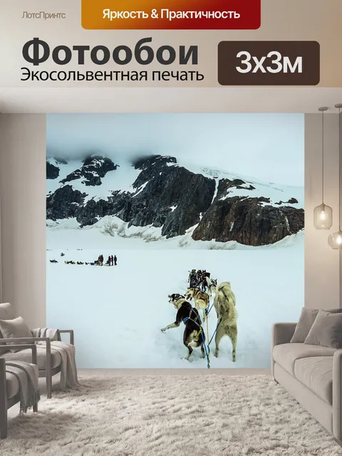 Фотообои Ездовые собаки