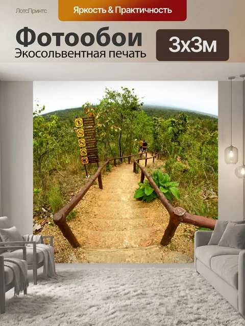 Фотообои Тропинка в садовых джунглях