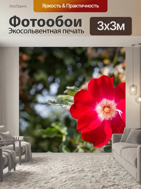 Фотообои Природа