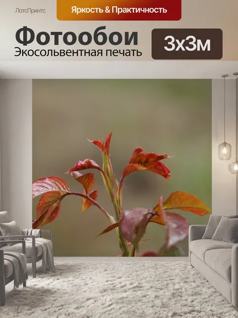 Фотообои Листья