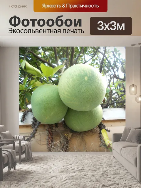 Фотообои Помело на дереве