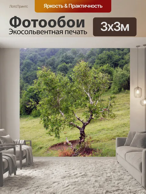 Фотообои Горы