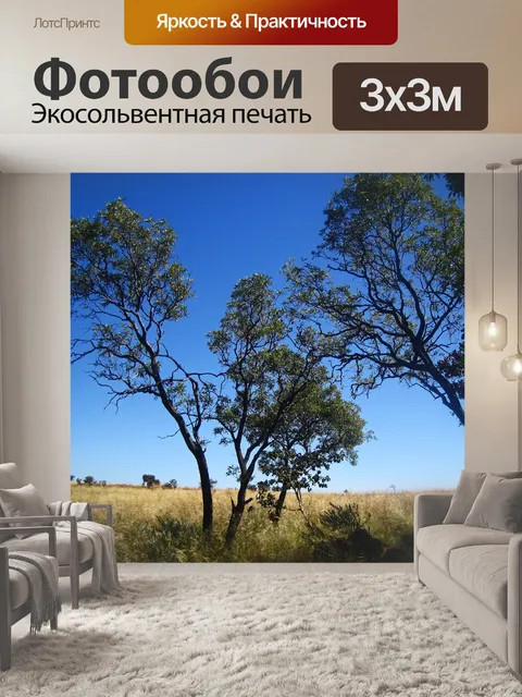 Фотообои деревья, растущие на Магалисберге