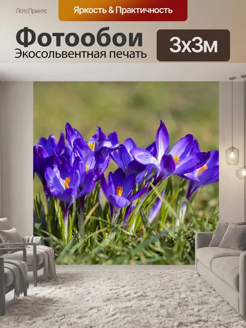 Фотообои Цветы