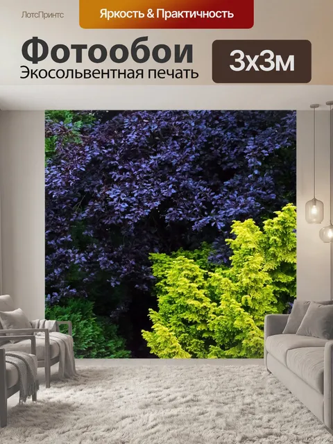 Фотообои Деревья